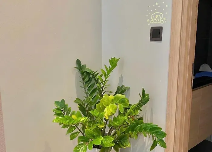 Khách sạn hẻo lánh Myvy - Seaview Hạ Long